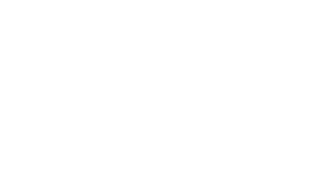 binbin-logo